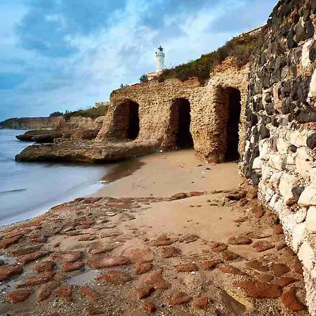 度假居 La Casa Al Mare Di Adriano 安齐奥